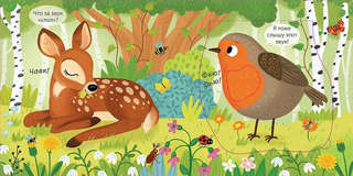 Погладь меня: Лесные животные, Тактильная книжка с окошками 6