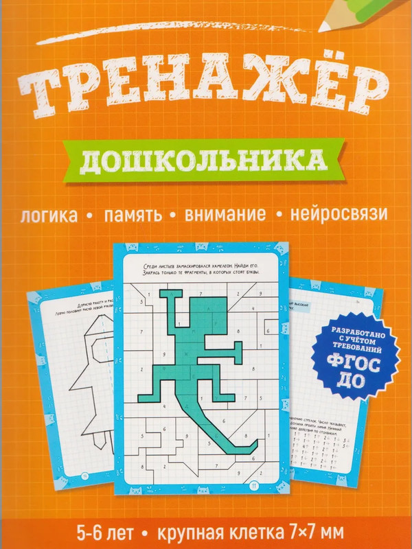 Тренажёр дошкольника, 5-6 лет (крупная клетка)