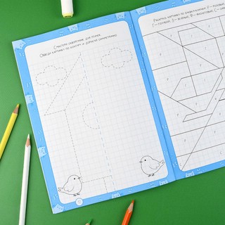 Тренажёр дошкольника, 5-6 лет (крупная клетка) 6