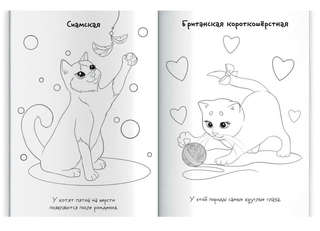 Раскраска с наклейками 'Породы котов' 5+ 9