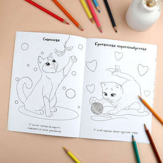 Раскраска с наклейками 'Породы котов' 5+ 4