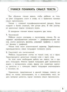 Нейрочтение: Развиваем беглость чтения, 1-3 класс 2