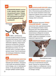 Кошки и собаки. Энциклопедия российского школьника 10