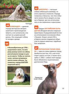 Кошки и собаки. Энциклопедия российского школьника 11