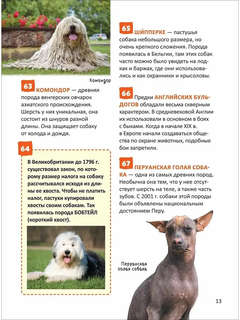 Кошки и собаки. Энциклопедия российского школьника 4