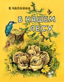 В нашем лесу (Любимая мамина книжка)