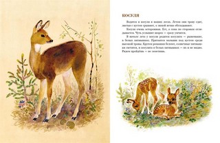 В нашем лесу (Любимая мамина книжка) 3