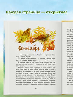 Синичкин Календарь 3