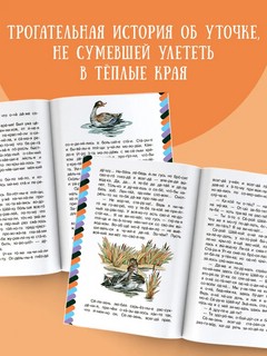 Серая Шейка 4