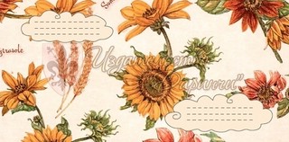 Конверт Даринчи, евро 7 2