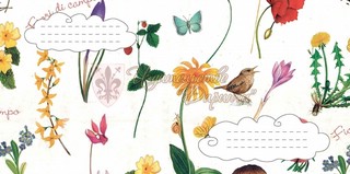 Конверт Даринчи, евро 13 2