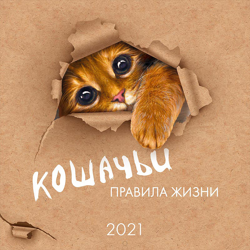 Календарь Кошачьи правила жизни 2021, артикул 615.264 - купить по низким  ценам с доставкой | Интернет-магазин «Белый кролик»