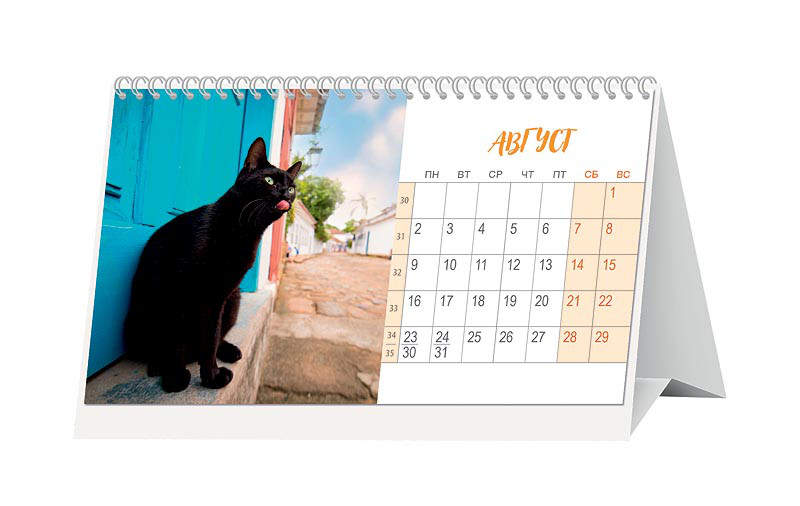 Календарь домик 2024 год. Календарь настольный с котами. Настенный календарь с котами. Календарь с котами 2021. Настенный календарь с домиками.