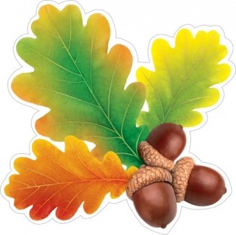 Открытка 7-65-143. Дуб