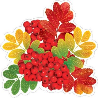 Открытка 7-65-149. Рябина