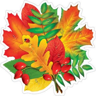 Открытка 7-65-150. Осенний букет