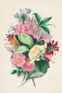 Набор открыток 