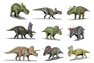 Набор открыток 