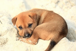 Набор открыток 