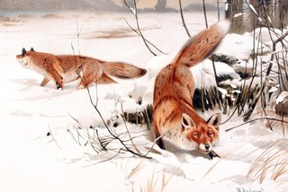 Набор открыток 