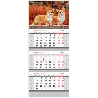 Календарь квартальный 2022 'Милые корги', 295x660 мм, OfficeSpace