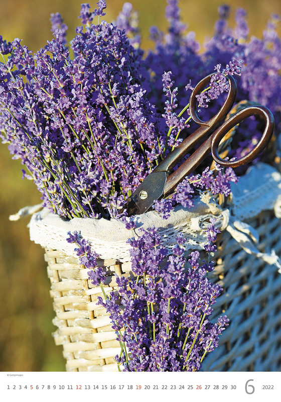 Спальня прованс 4 bms. Год в провансе. Кухни прованс 2022. Спальня в прованском стиле. Прованс 2022.