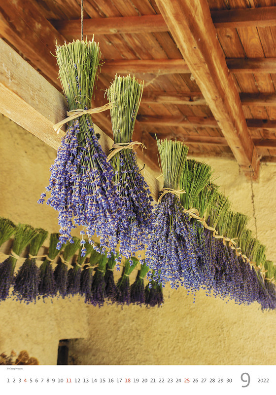 Раевская лаванда 2022. Раевская лаванда 2022. Раевская лаванда 2022. Кухня hoff прованс оливковая. Спальня в стиле прованс.