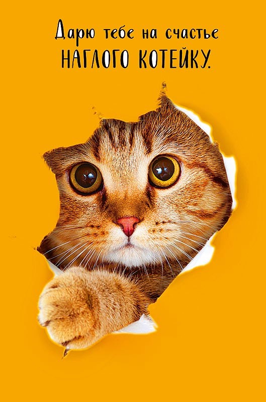 Открытка 'Дарю тебе котейку' артикул 0480.234