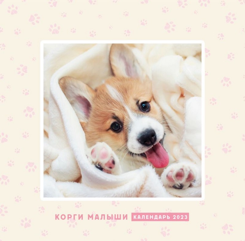 Календарь 2023 'Корги-малыши' настенный перекидной