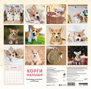 Календарь 2023 'Корги-малыши' настенный перекидной 3