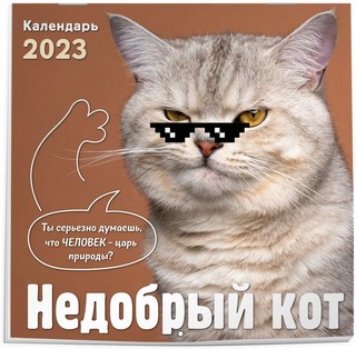 Календарь на 2023г 'Недобрый кот' настенный 1