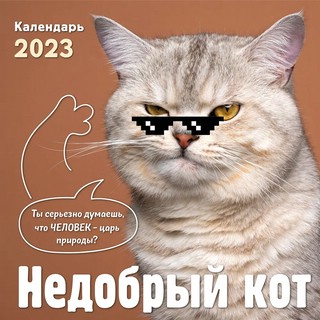 Календарь на 2023г 'Недобрый кот' настенный 2