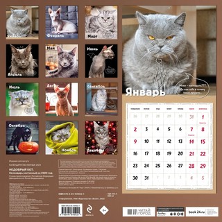Календарь на 2023г 'Недобрый кот' настенный 3