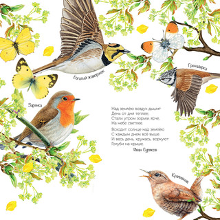 Календарь на 2023г 