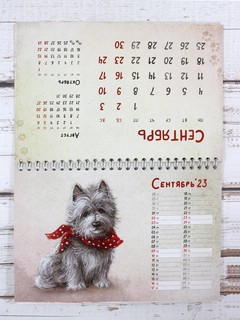 Календарь-домик 2023 'Мягкие лапки' 11