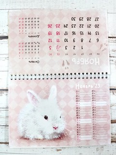 Календарь-домик 2023 'Мягкие лапки' 12