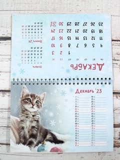 Календарь-домик 2023 'Мягкие лапки' 13