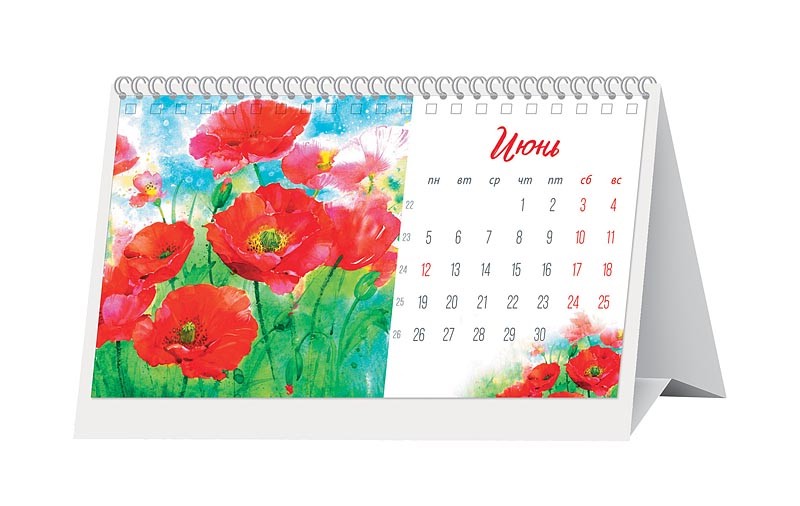 Календарь перекидной на 2023 год Kolonna Publications - ВСЕ СВОБОДНЫ