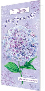 С Днем рождения! (евро), артикул 2-04-3409 1