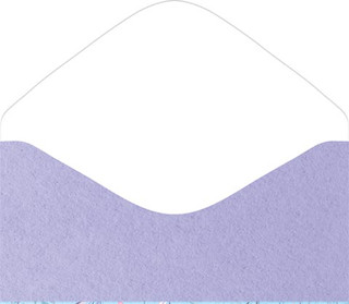 Конверт для денег 'В этот чудесный день' артикул 4-15-1209 2