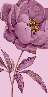 Конверт для денег 'Цветок', артикул 0316.736 1