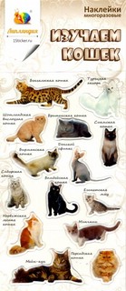Набор леденцовых наклеек 'Изучаем кошек'