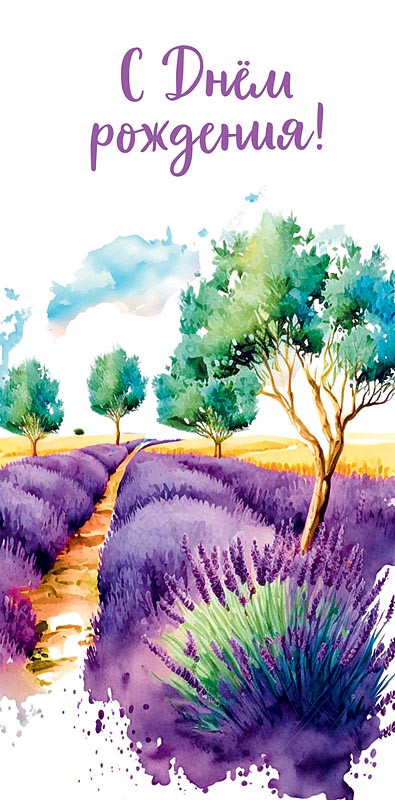 Конверт для денег 'С Днем Рождения!', артикул 0317.338