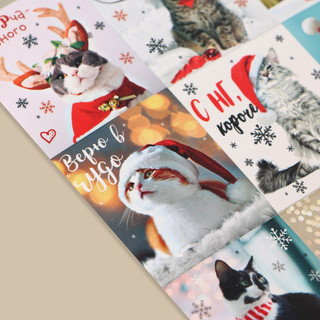 Наклейки бумажные «Замурчательный Новый Год», 11 x 15.5 см 2