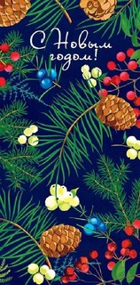 Конверт для денег 'С Новым Годом' арт.0315.483 1