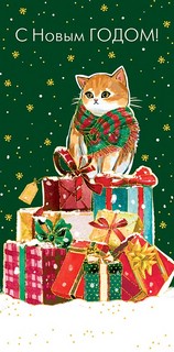 Конверт для денег 'С Новым Годом' арт.0317.096 1