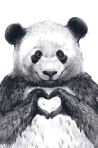 Открытка 'Панда', артикул 0713.231