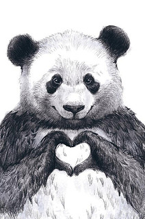 Открытка 'Панда', артикул 0713.231 1