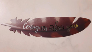 Перо закладка №16 Сегодня твой день 3