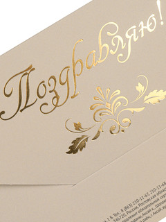 Конверт для денег 'Поздравляю!', серый + птицы, артикул КСТ-9650 5